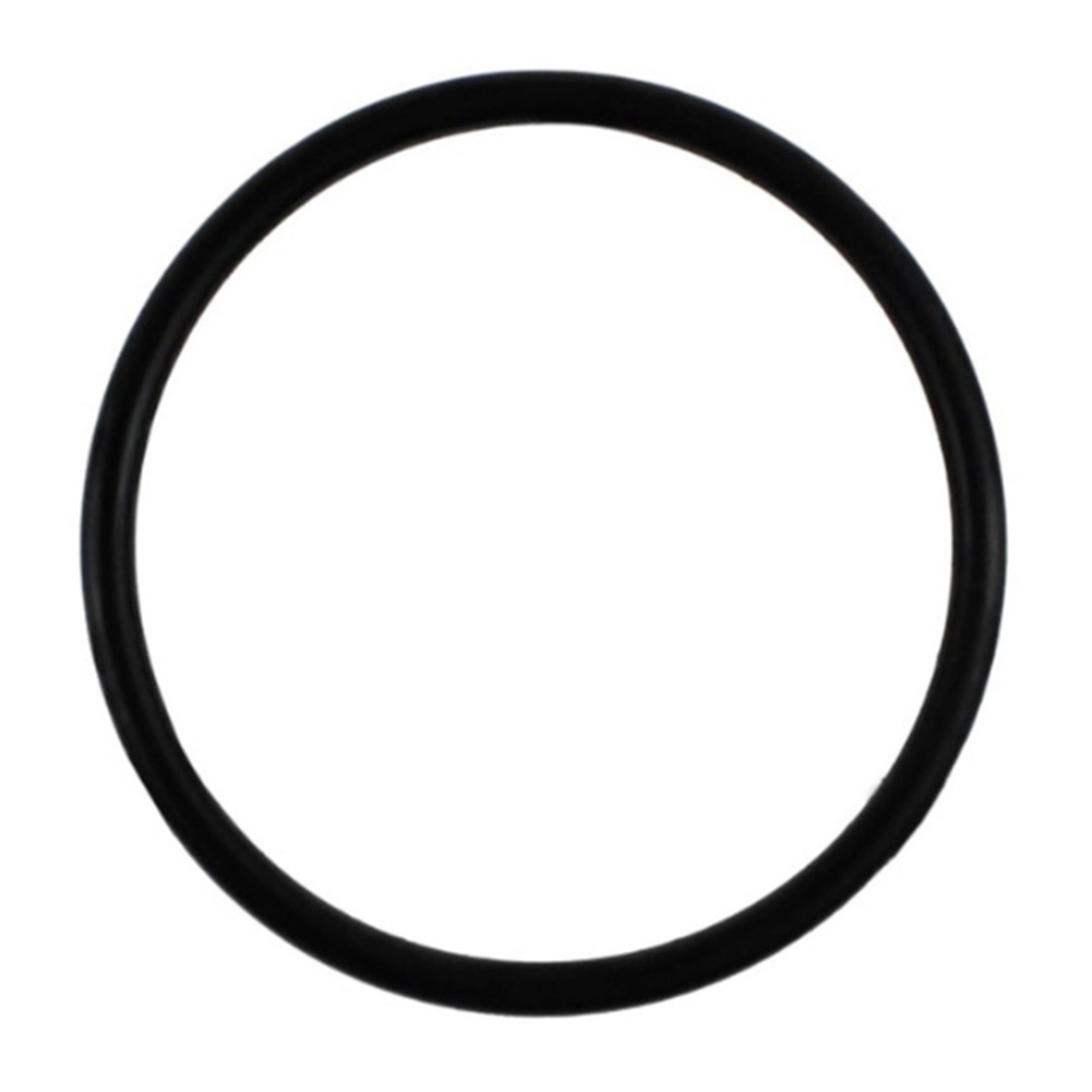 Replacement O Ring for Pentair For Superflo and For StaRite Pump Systems