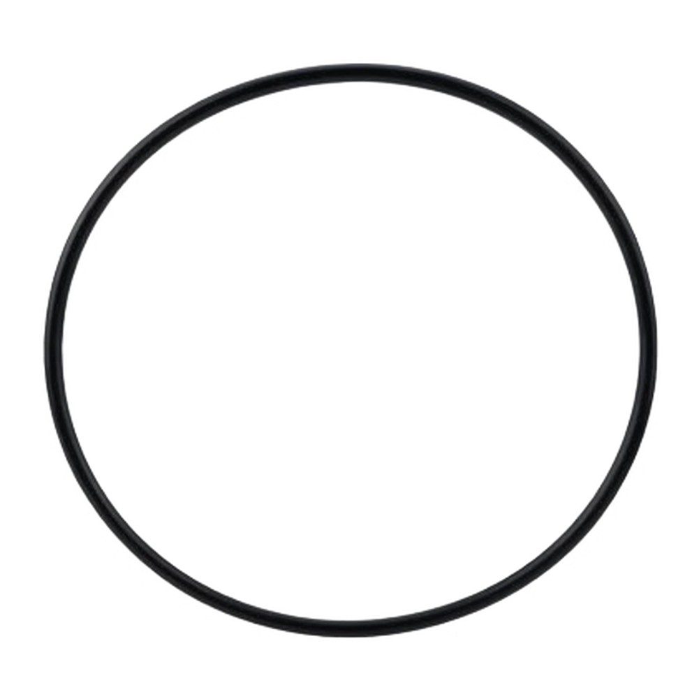 Pool Pump Filter Cover Gasket Rubber Seal Compatible with P61733 P6025 Models
