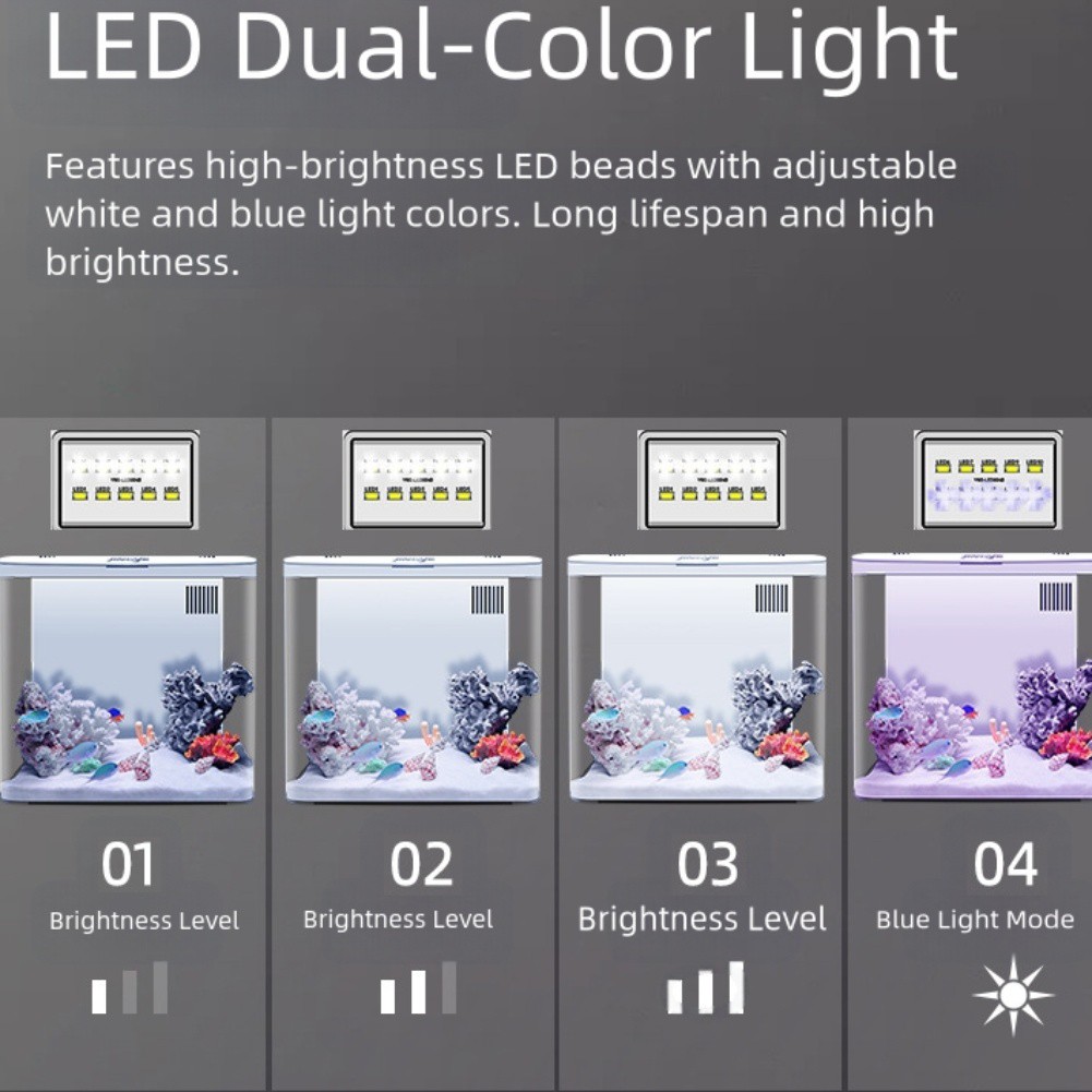 Betta Fish Aquarium Tank Starter Kit with LED and Filter Suitable for Desktop - Picture 33 of 37
