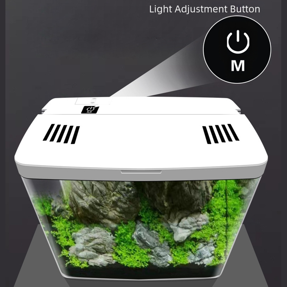 Betta Fish Aquarium Tank Starter Kit with LED and Filter Suitable for Desktop - Picture 32 of 37