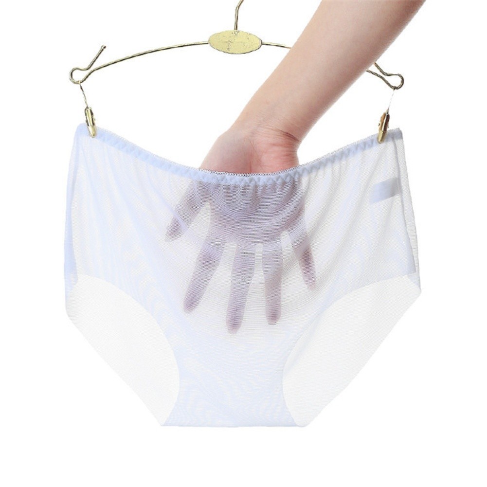 Women Fully Transparent Seamless Underwear Nylon Spandex Triangle Pants