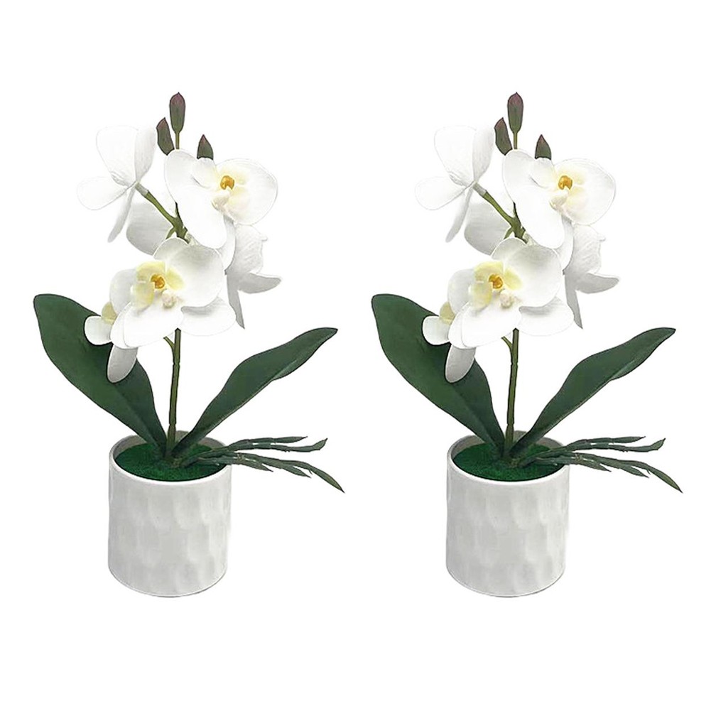 6 Lifelike Phalaenopsis Orchid Potted Flowers for Home or Office Setting