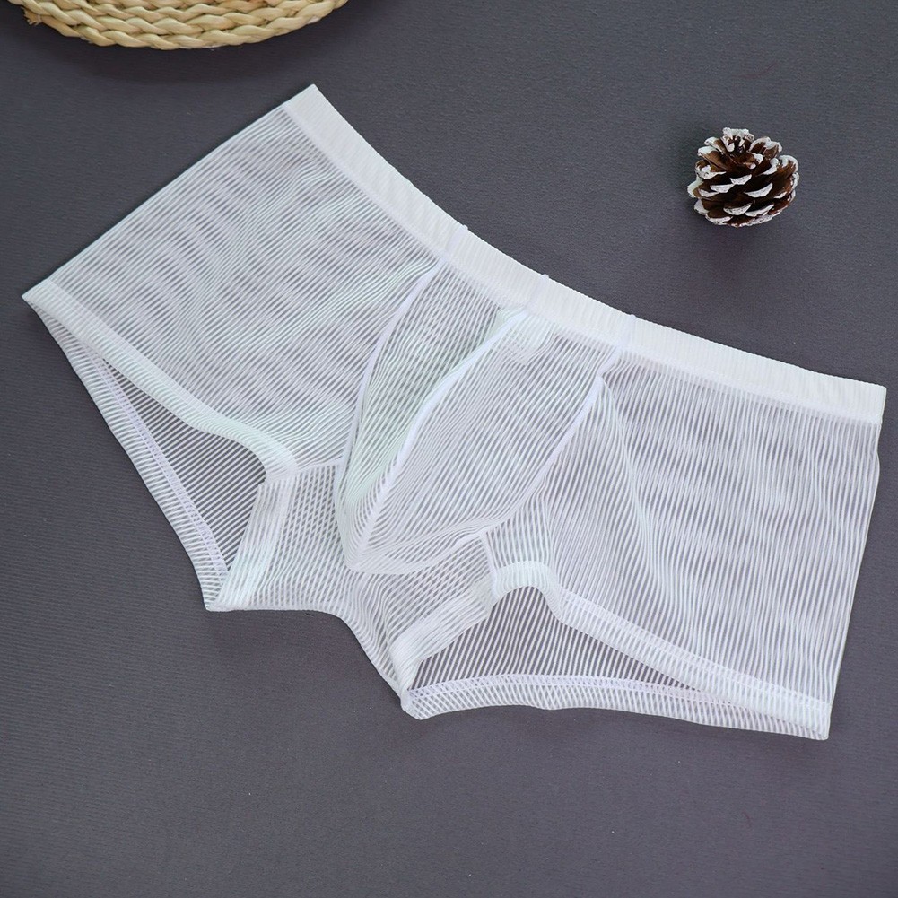 Men Underwear Translucent Underpants Indoor Relaxation Classic Theme Easy Care - Picture 29 of 42