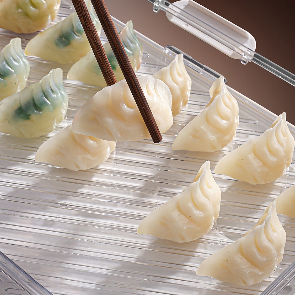 Portable Dumpling Storage Box Compartmentalized Design Double-layer Capacity - Picture 21 of 24