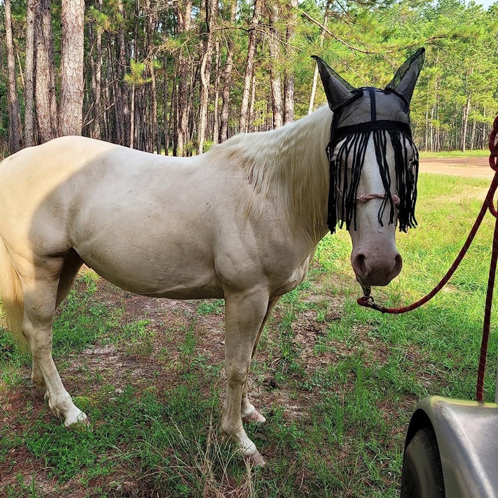 Lightweight Polyester Horse Fly Cover With Tassels Adjustable Fit Three Sizes