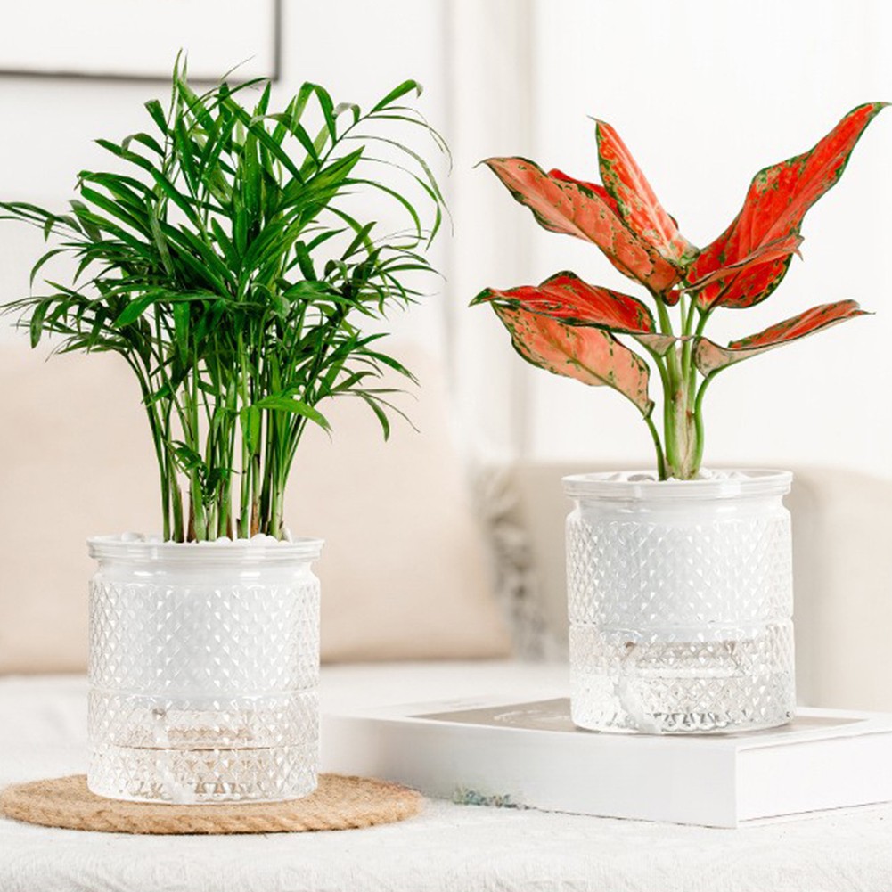 Self-watering Pot Modern Minimalist Design Self-watering System For Windowsills