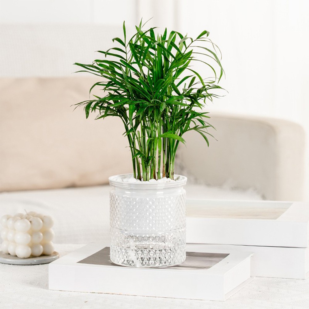 Self-watering Pot Modern Minimalist Design Self-watering System For Windowsills