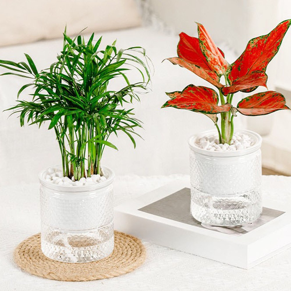 Self-watering Pot Modern Minimalist Design Self-watering System For Windowsills