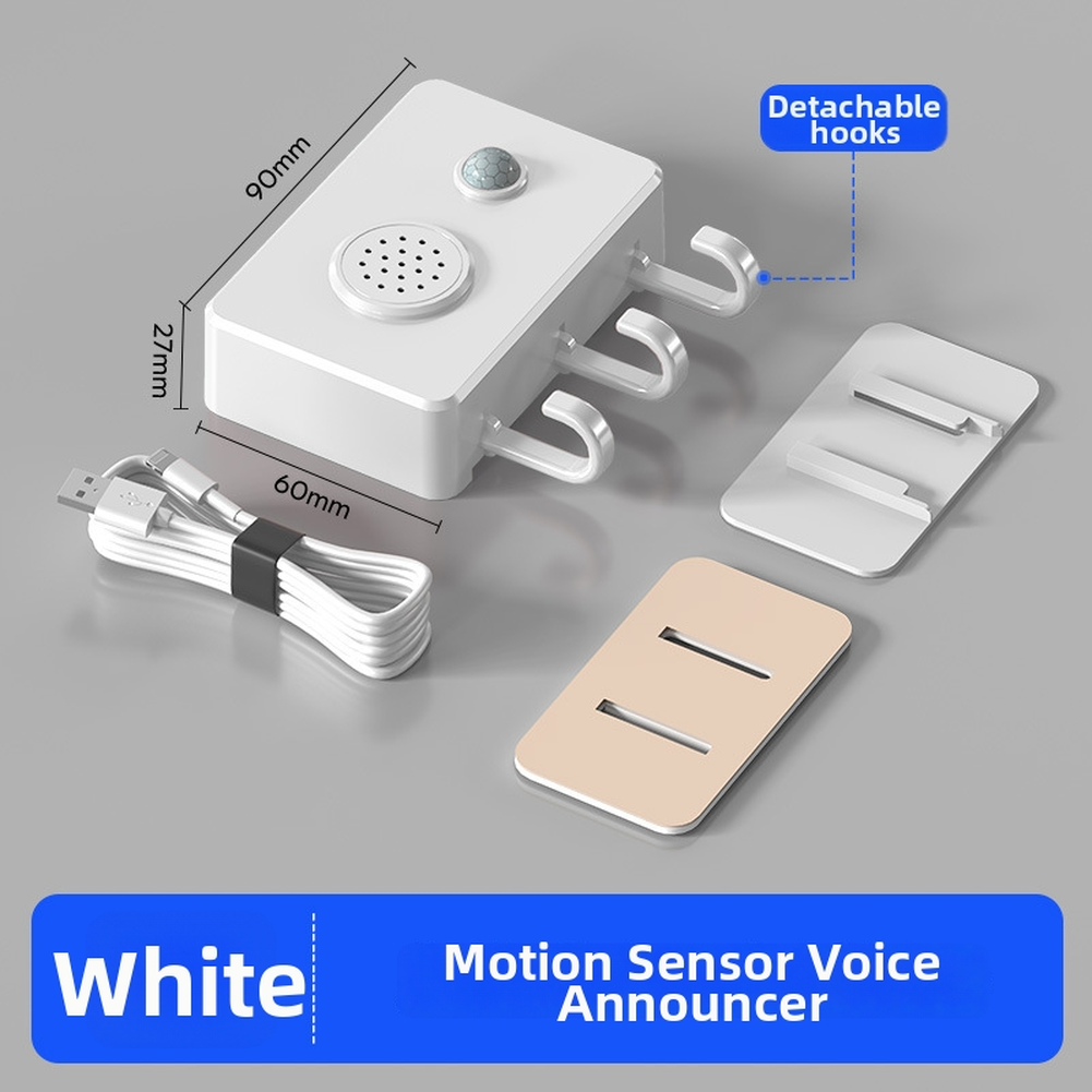 Entry Detection Alarm with Customizable Voice Message for Retail Space