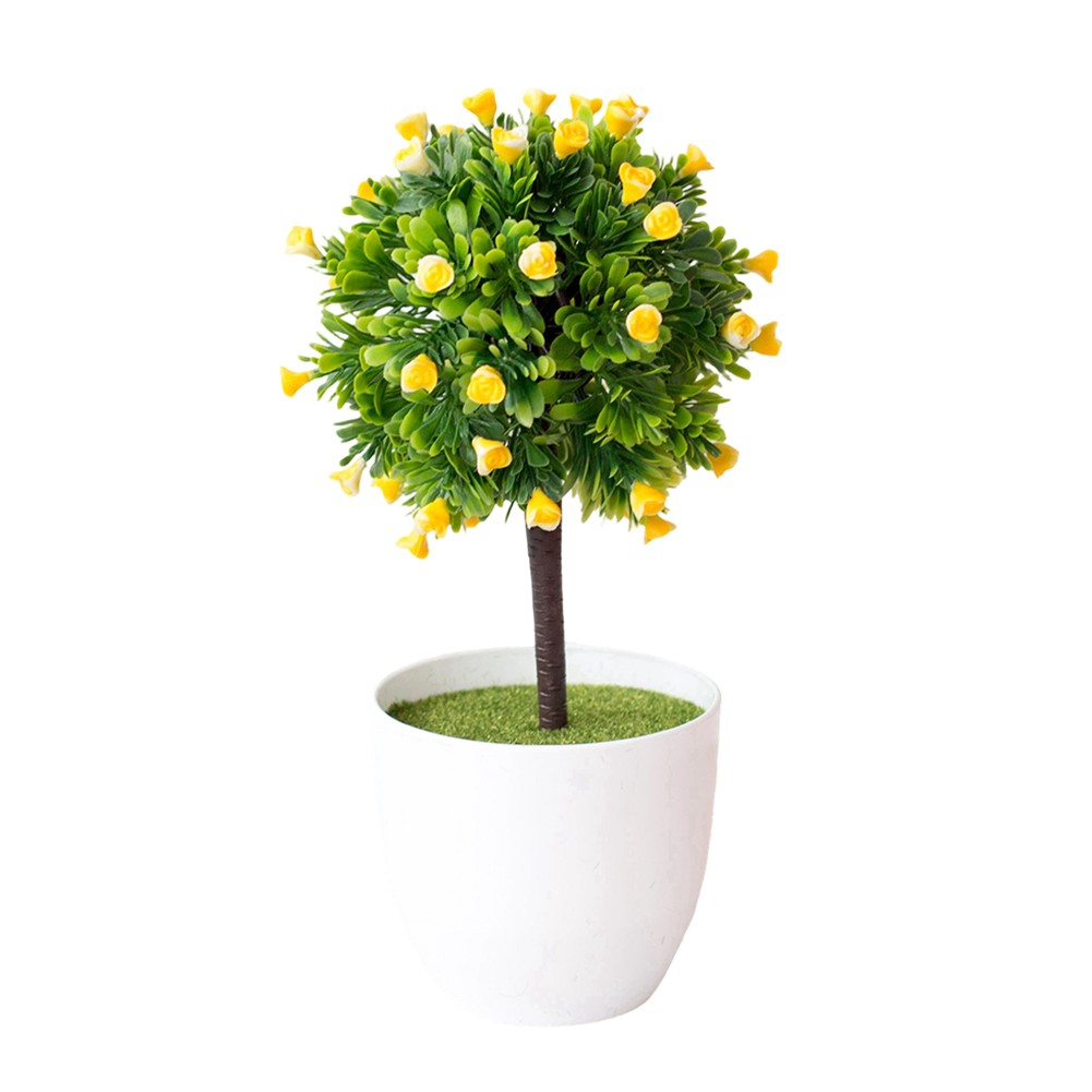 Low Maintenance Potted Flowers Yellow Purple White Pink 25 14cm Plastic