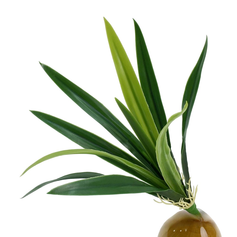 Lifelike Green Orchid Leaves 45cm Plastic Stems for Home Office Decoration