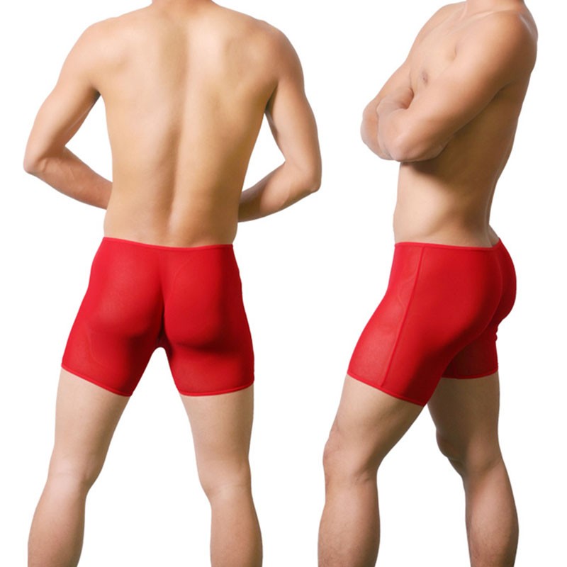 Mens See Through Underwear Mesh Boxer Briefs Low Rise Underwear Elastic Panties - Picture 18 of 21