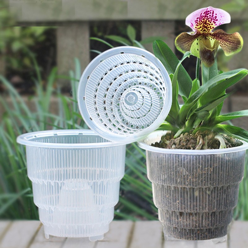 Transparent Kunststoff Blumentopf Sukkulenten Orchidee Gitter Topf 10 12 15  cm G | eBay.de