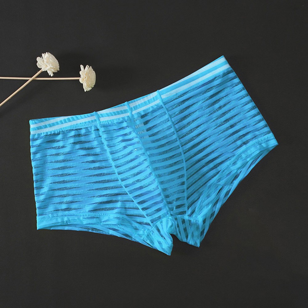 Sous vêtement respirant neuf points de vente taille basse homme maille transparente culotte sex
