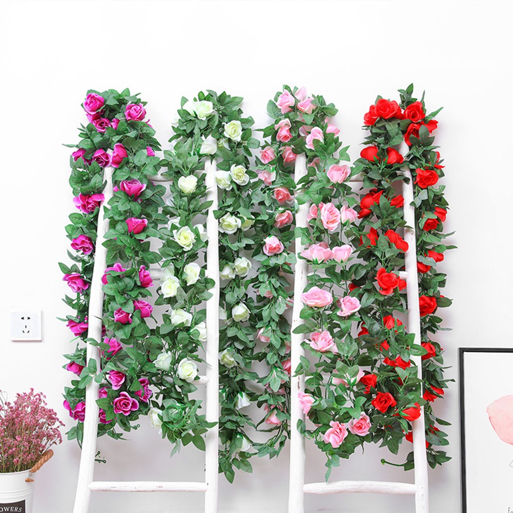 glcksfeder schdlinge Glcksfeder | Zamioculcas zamiifolia