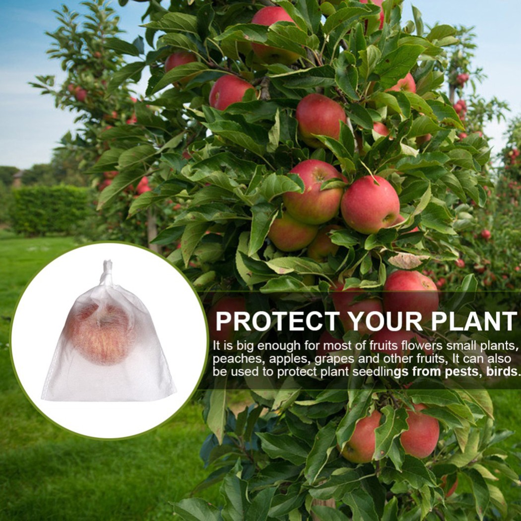 Maille Filet Sacs Jardin Agriculture Fruit Légumes Protection-Exclusion 100 Pcs acheter