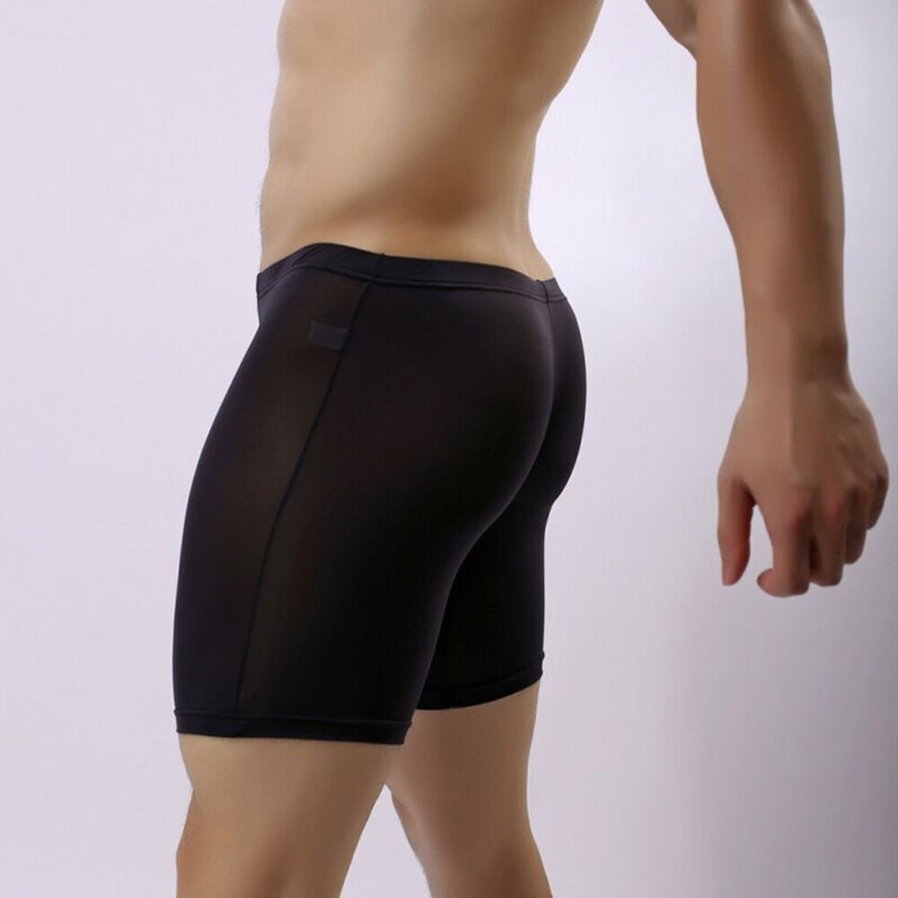 Brief Panty Underwear Boxer Mesh Sexy Transparent Underpants Hot Mens Show - Picture 16 of 16