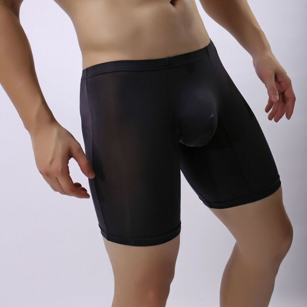 Brief Panty Underwear Boxer Mesh Sexy Transparent Underpants Hot Mens Show - Picture 15 of 16