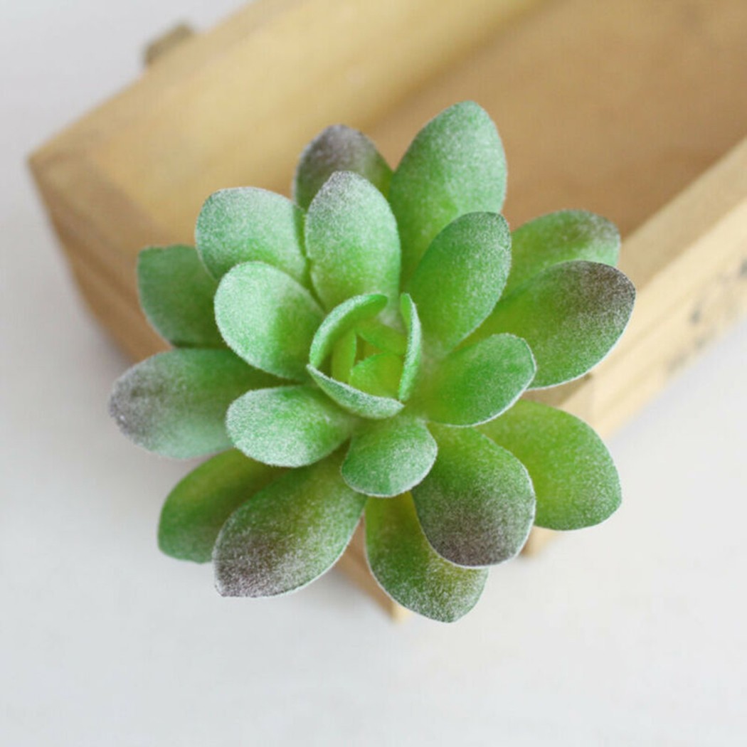5 Pack- Artificial Succulent Plants Unpotted Mini Fake Succulents Plant Decor - Picture 33 of 48