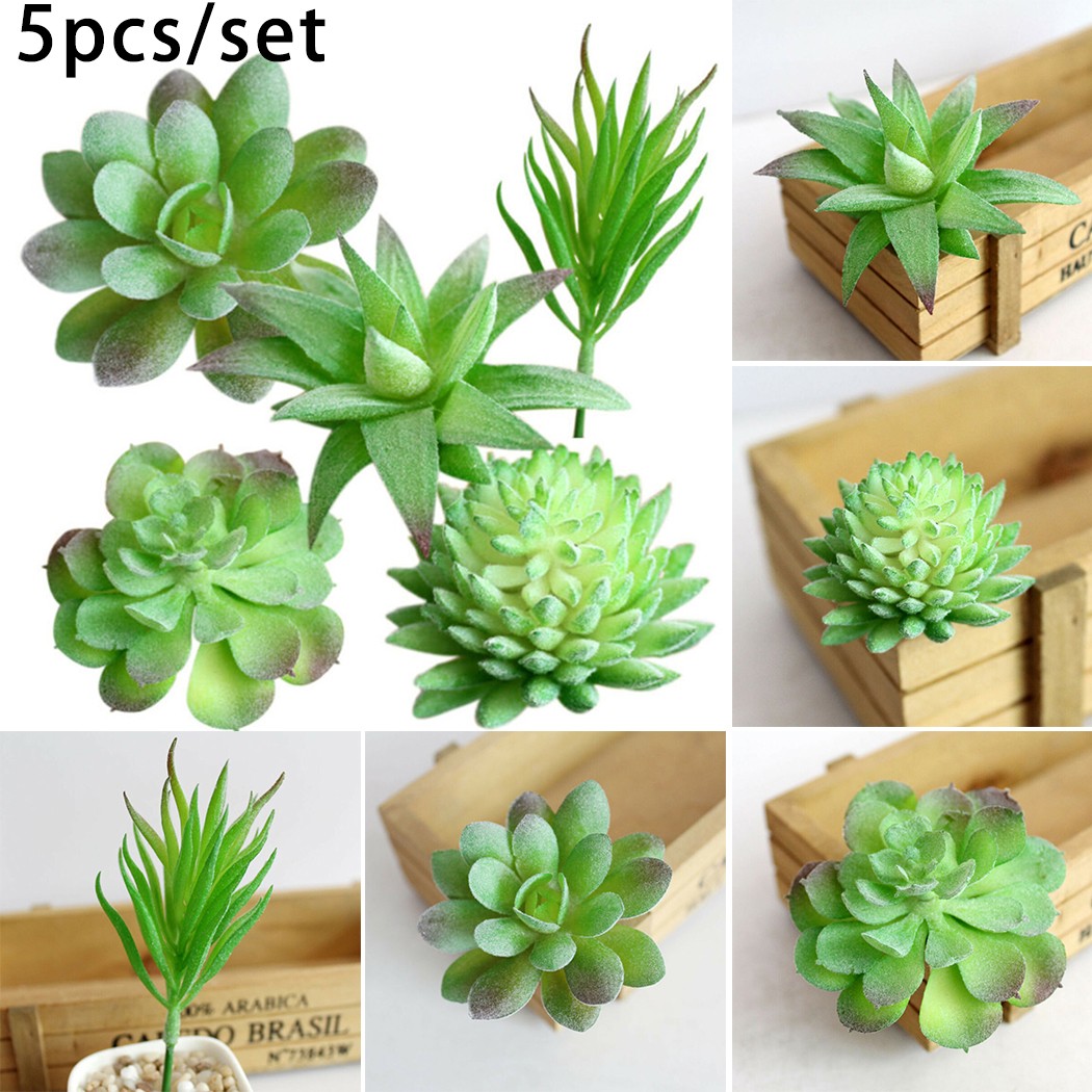 5PCS Artificial Succulent Plants Assorted Unpotted Garden Fake Flower Decor