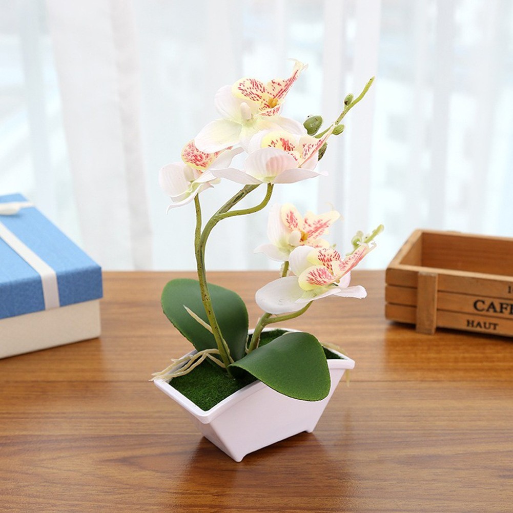 Beautifully Crafted Artificial Butterfly Orchid Bonsai for Shop Display