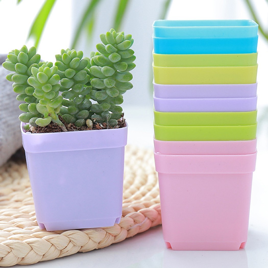 Stylish Mini Basin Succulent Plant Trays Pack of 10 for Home Office Decor - Zdjęcie 10 z 24