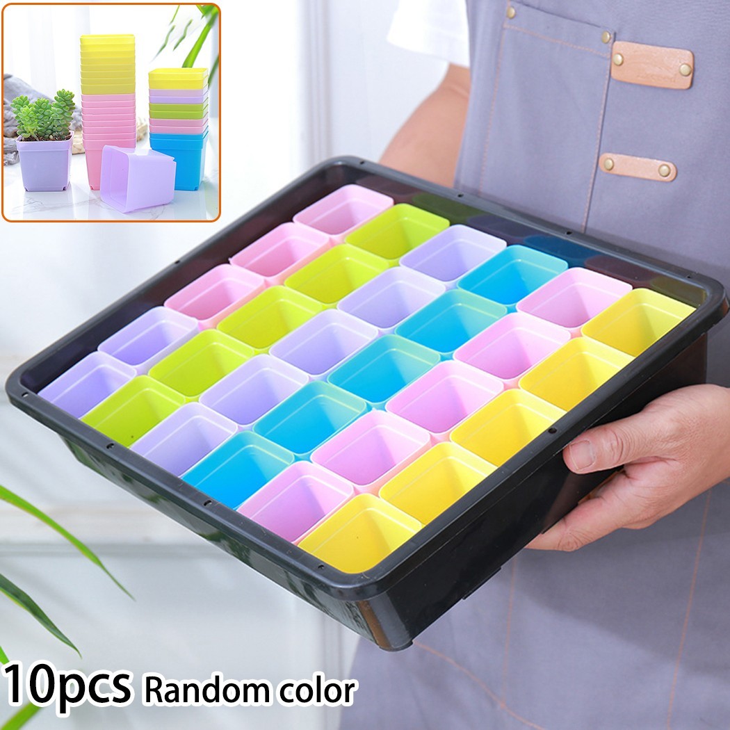 Stylish Mini Basin Succulent Plant Trays Pack of 10 for Home Office Decor - Zdjęcie 15 z 24