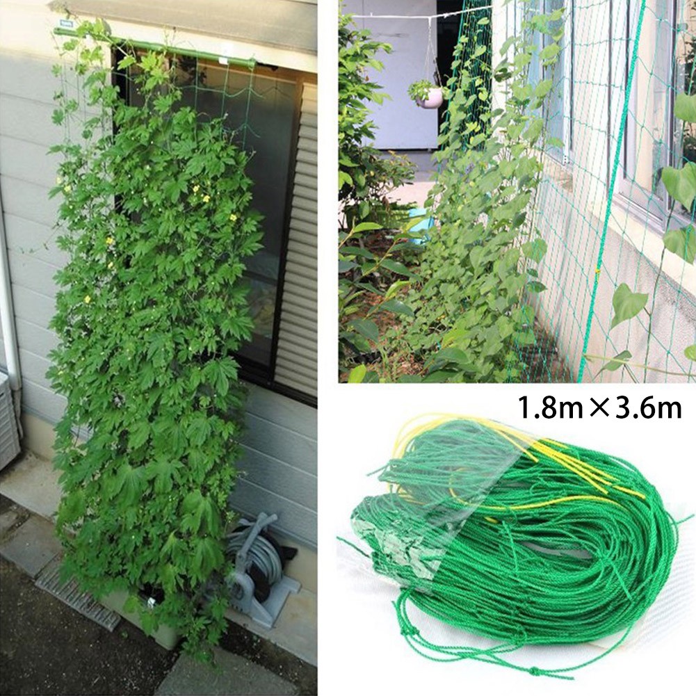 Rete a traliccio vegetale in nylon per piante rampicanti forte e affidabile