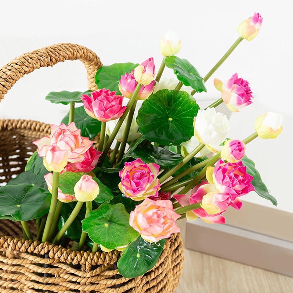 Engrenage à Vis Sans Fin Module 0.5 1 1.5 En Acier C45 - 15 à 60 Dents Alésage 4-20mm Pour Transmission