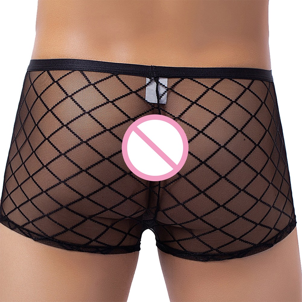 Sexy Mens See-Through Boxer Briefs Sheer Mesh Pouch Underwear Panties Lingerie - Picture 16 of 16