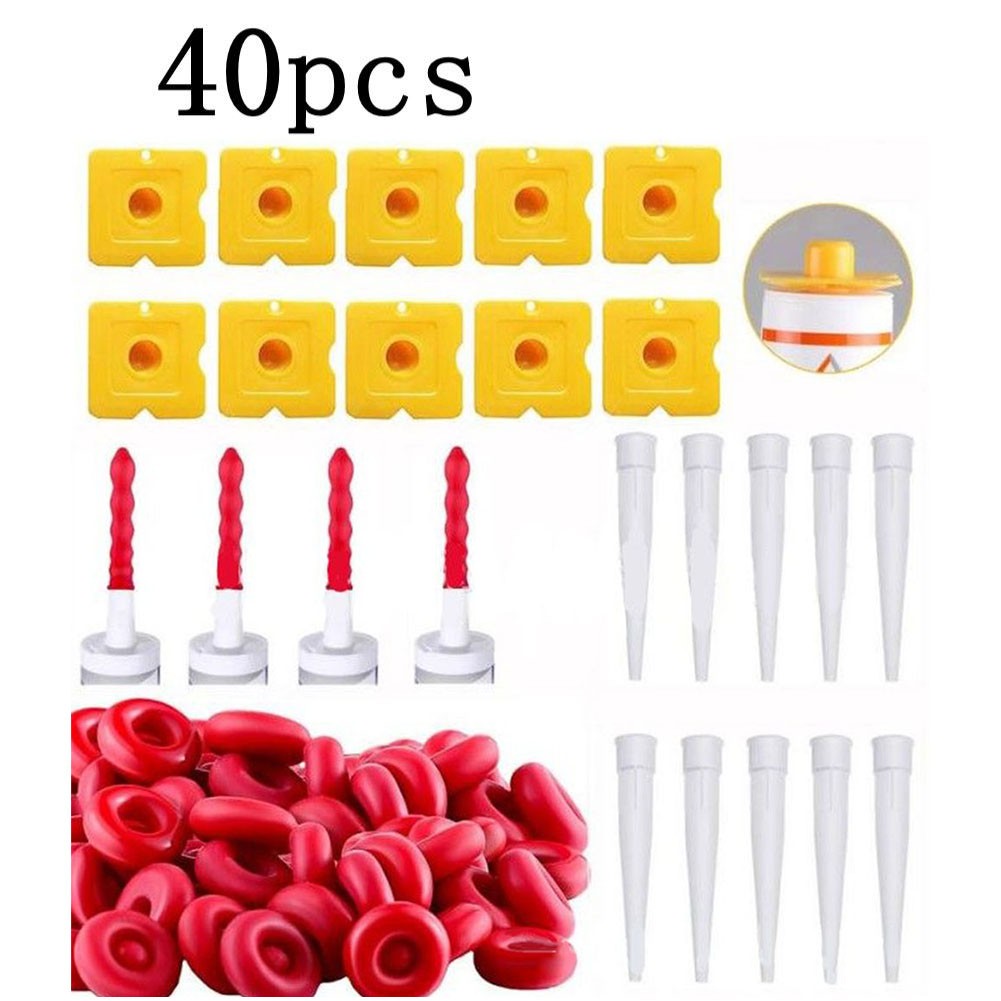 Accesorios de repuesto para raspador de plástico de látex con tapa de masilla - Imagen 6 de 7