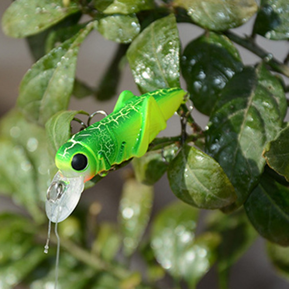 Increase Your Chances of Success with 5cm 4g Grasshopper Insect Fishing  Lures