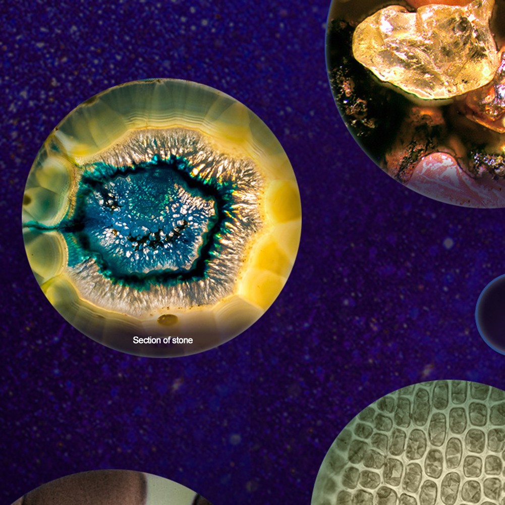 Herramientas de exterior para exploración al aire libre instrumento óptico microscopio para niños - Imagen 26 de 29