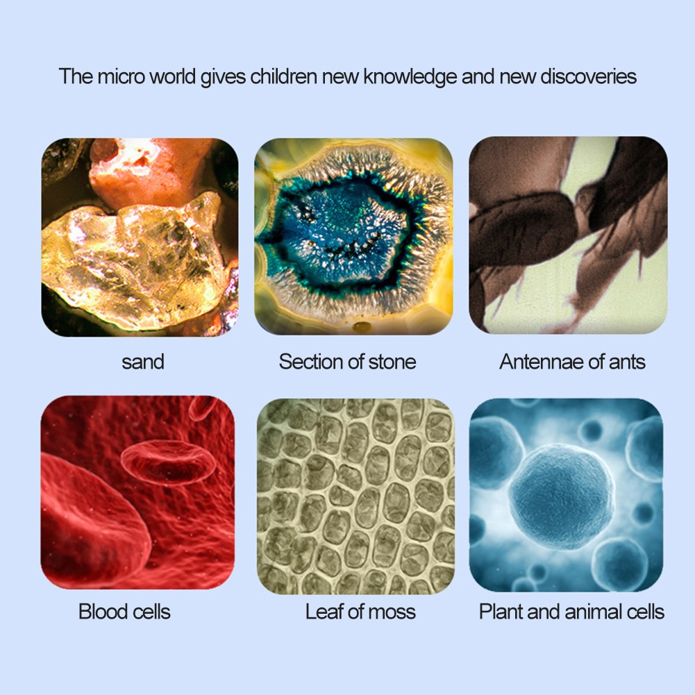 Herramientas de exterior para exploración al aire libre instrumento óptico microscopio para niños - Imagen 16 de 29