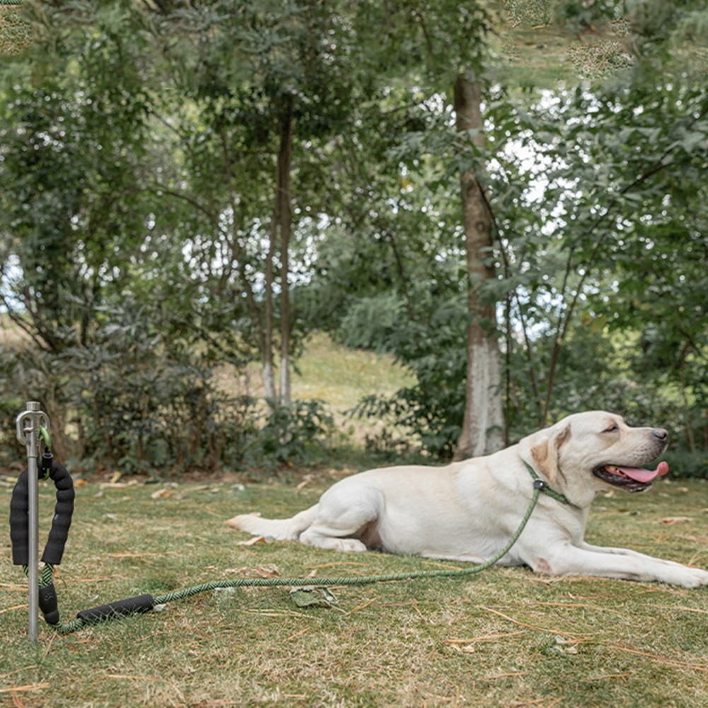Secure your Pet's Safety Stainless Steel Dog Tie Out Stake for Firm Ground - Picture 24 of 36