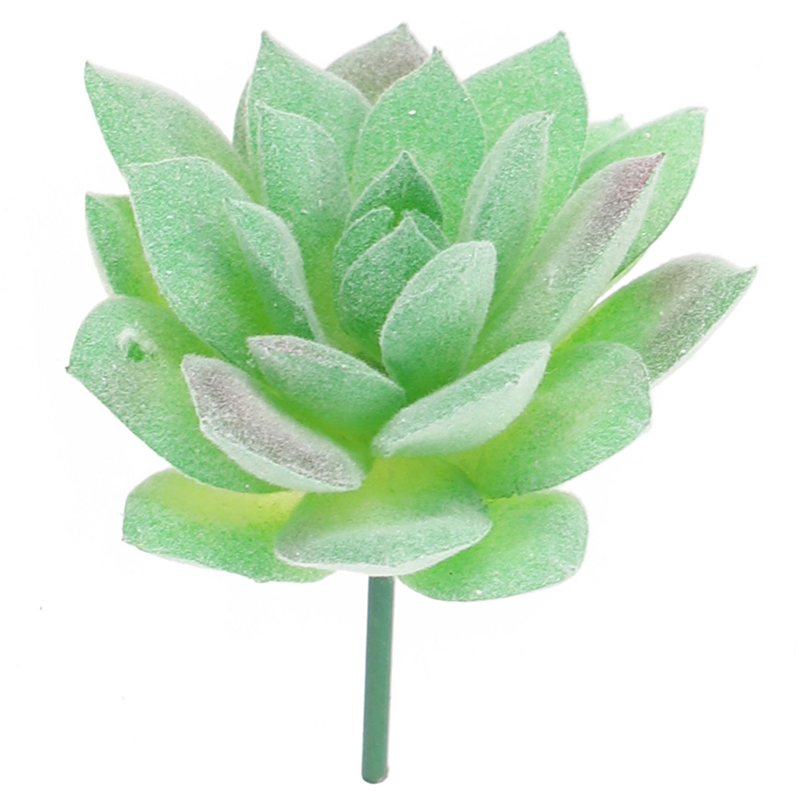 Knstlich Geflschte Miniatur Sukkulenten Pflanze Kaktus Echeveria Blumen |  eBay.de
