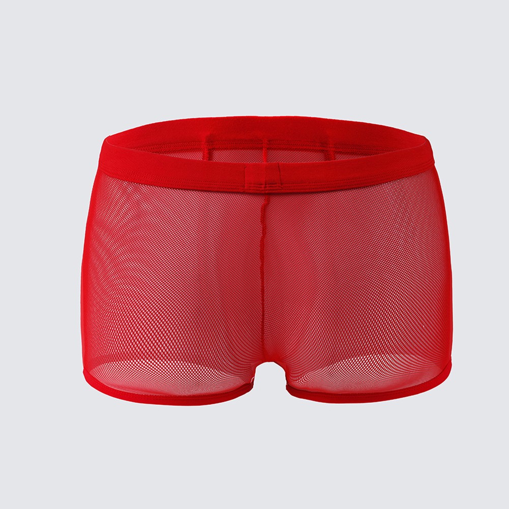 Sous-vêtements transparents en 2024 maille de dentelle fine boxer slips basse hauteu