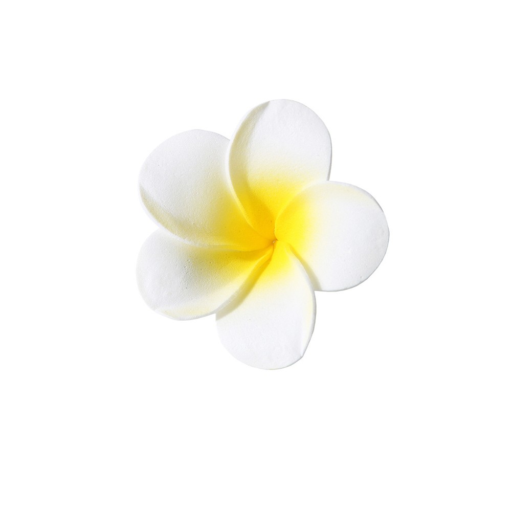 Photo 7/7