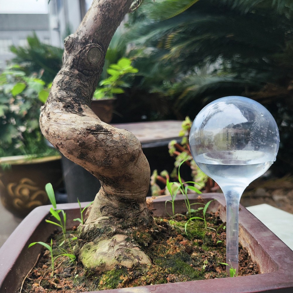 For Indoor Garden Essential 2PCS Automatic Flower Watering Bulb Globes