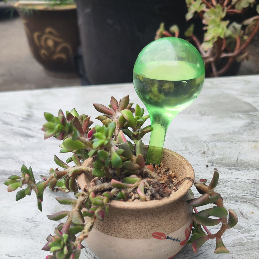 For Indoor Garden Essential 2PCS Automatic Flower Watering Bulb Globes