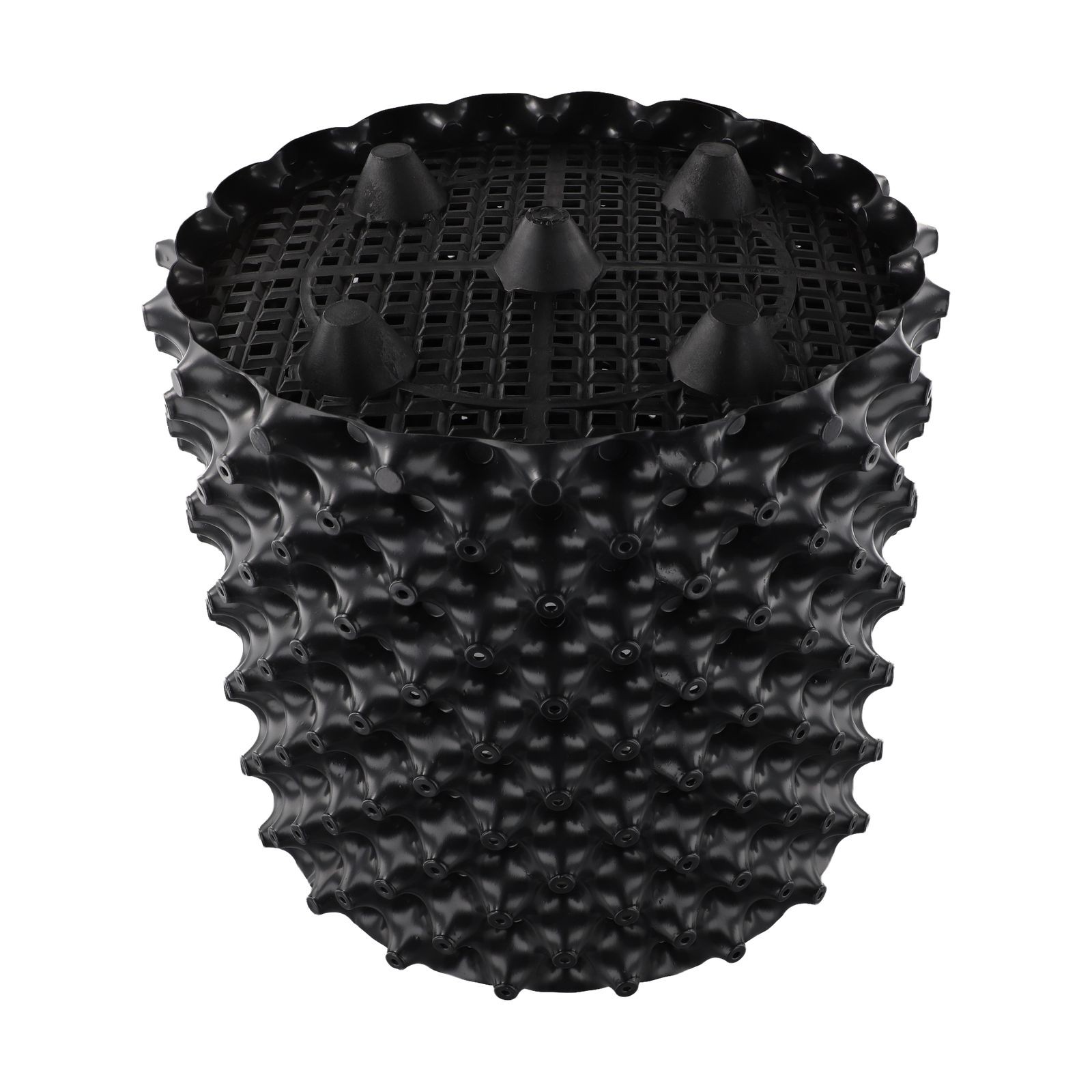 Fast Root Grow Nursery Pot with Air Pruning Technology for Optimal Plant Growth - Picture 34 of 36