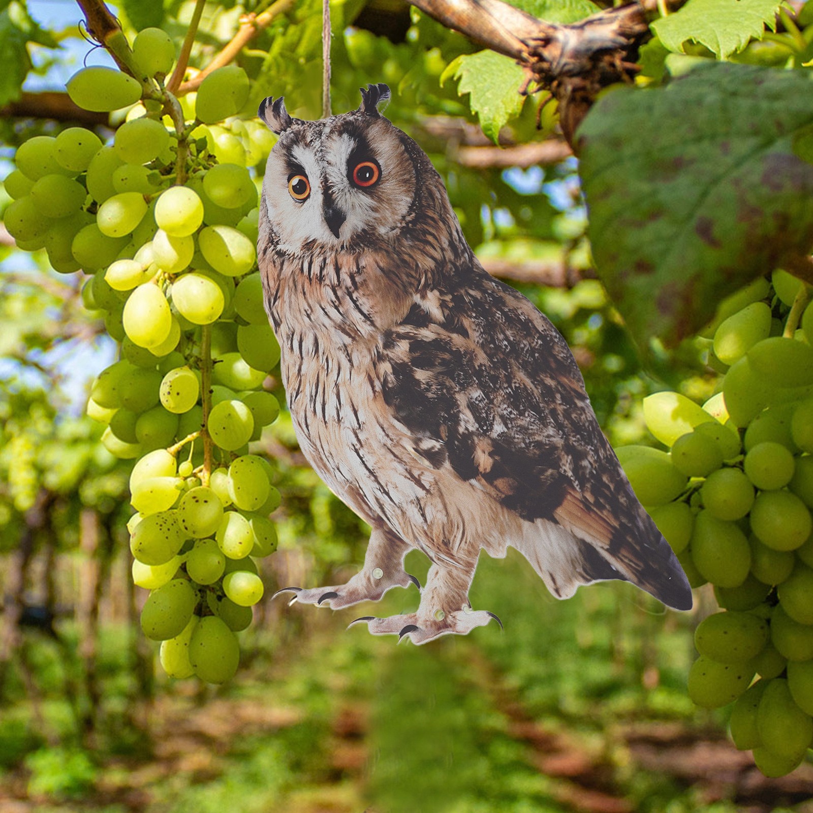 Keep Birds Away with Realistic Owl Statue Rainproof Bird Control Decor - Picture 31 of 35