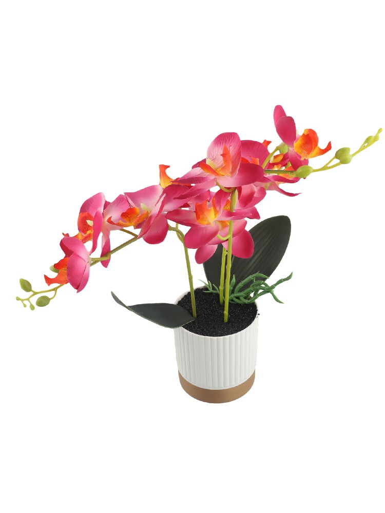 Realistic Phalaenopsis Bonsai Decoration Long lasting Artificial Orchid Flower - Picture 55 of 69