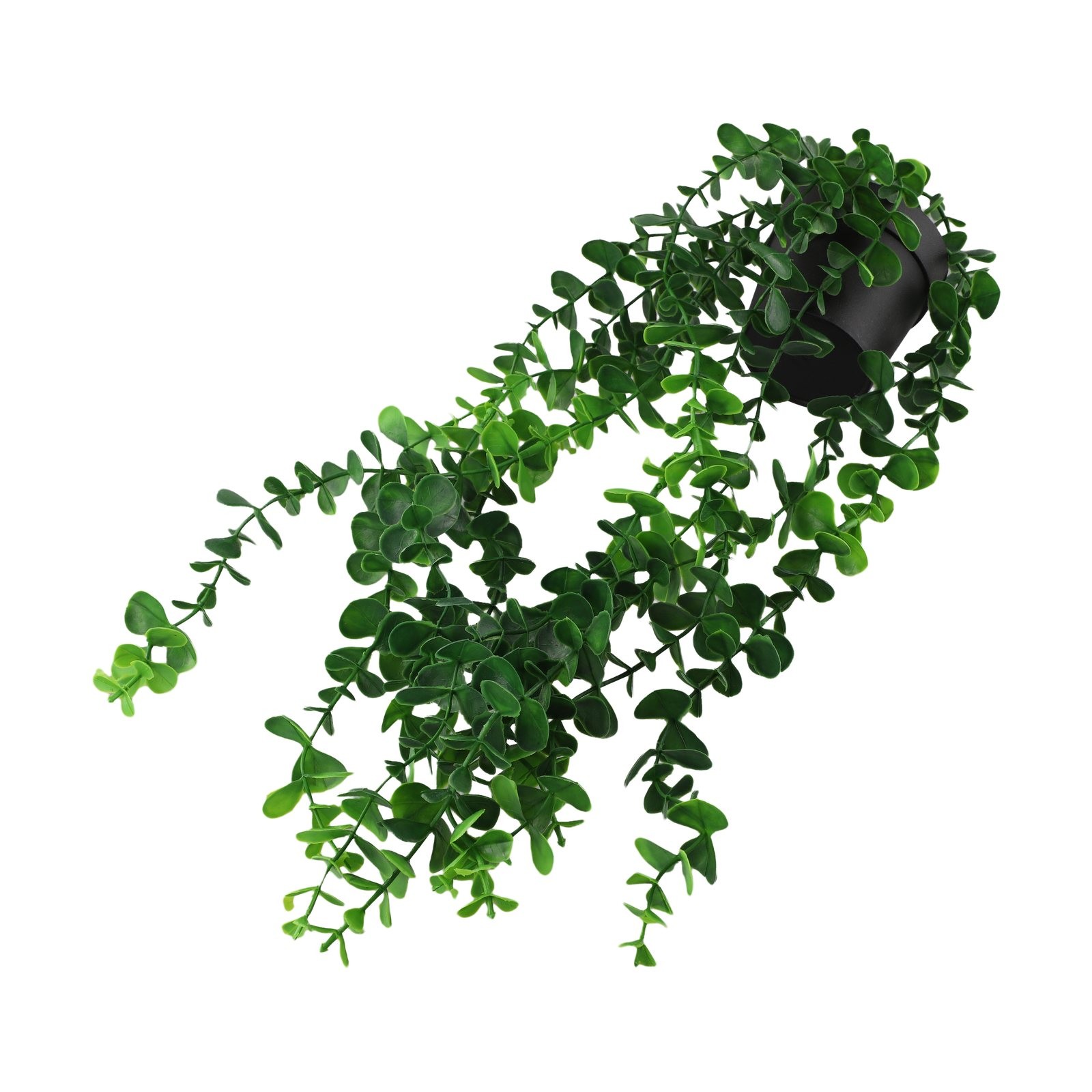 Bild 39 von 39