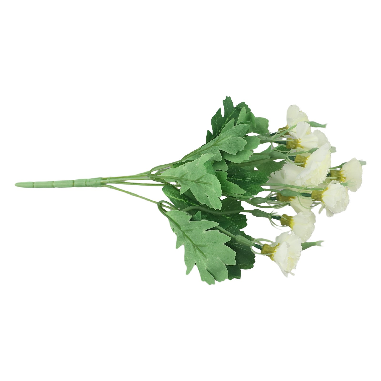 Bild 14 von 24