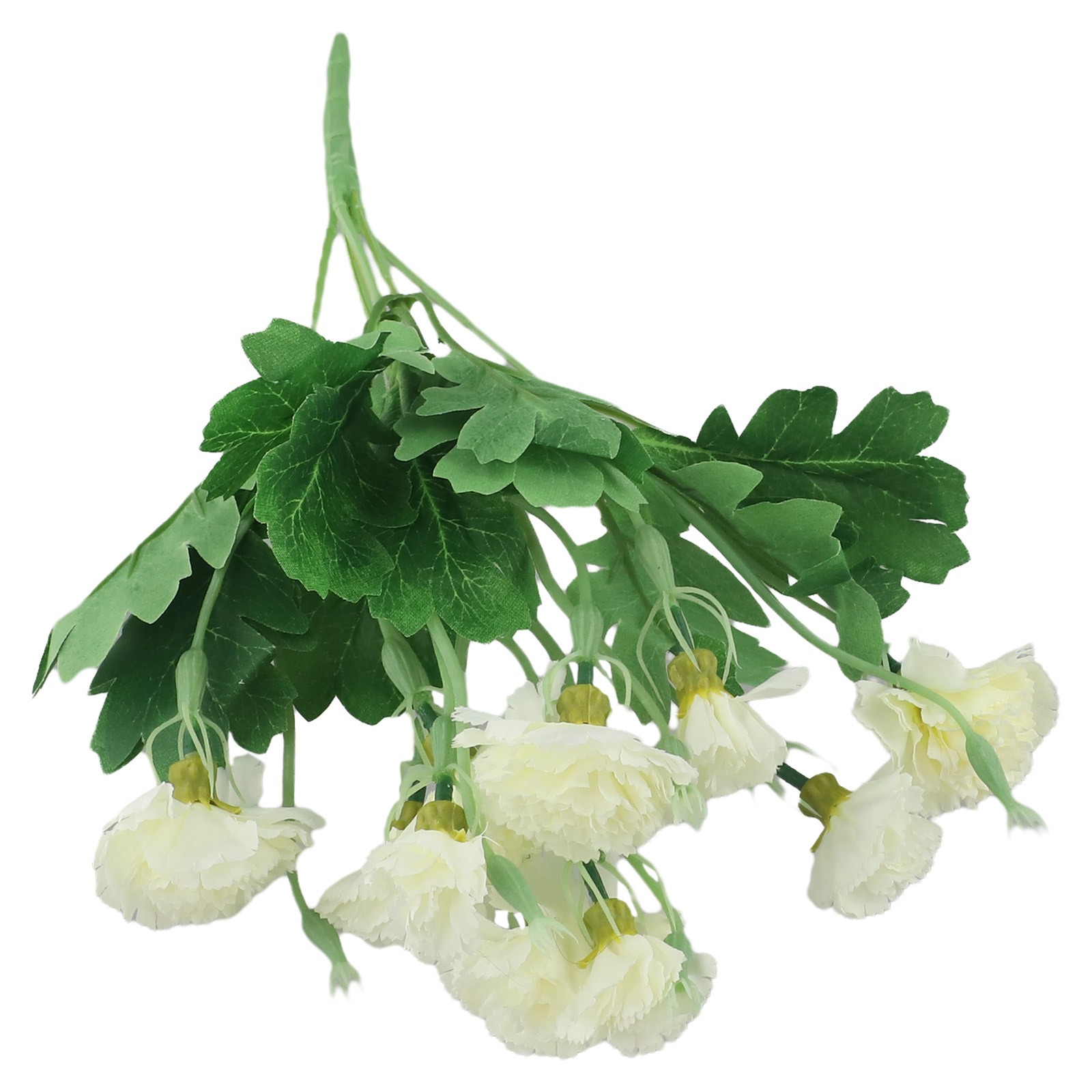 Bild 15 von 24