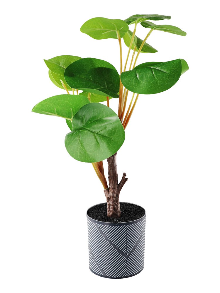 Planta en maceta aspecto realista no se desvanecerá planta decorativa - Imagen 22 de 24