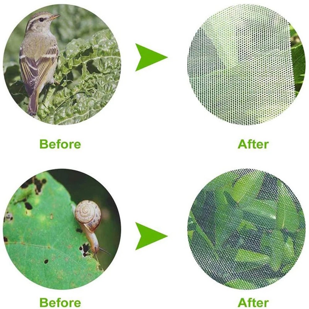 Le filet de jardin en maille fine pour plantes de culture acheter assure une croissance