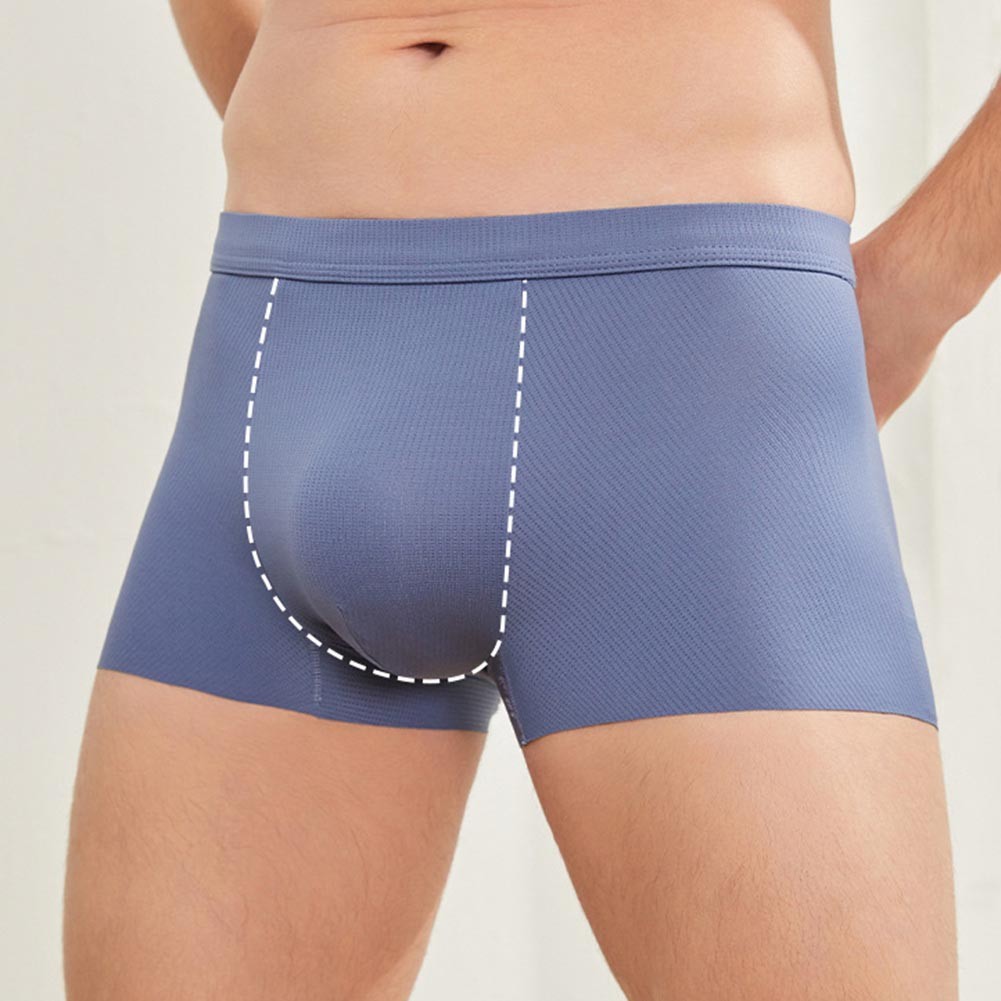 Prendas moldeadoras baúles sin accesorios diseño acolchado de nailon mezcla Shapewea - Imagen 8 de 9