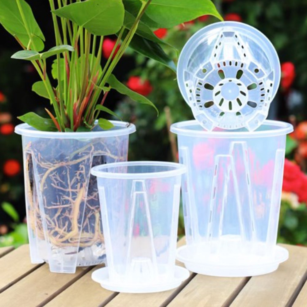 Pot d'orchidées contrôle efficace des racines avec trous et maille design remises exqu